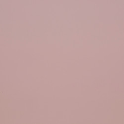 Image de détail du décor Rose Pastel (3096 SPA)