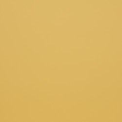 Image de détail du décor Bouton d'Or (3170 SPA)