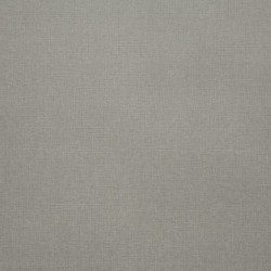 Image de détail du décor Lin Gris (4506 TI)