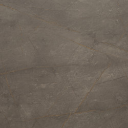 Image de détail du décor Filon d'Or (8082 SH)