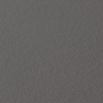 Image de détail du décor Grigio Scuro (1023 VE2)