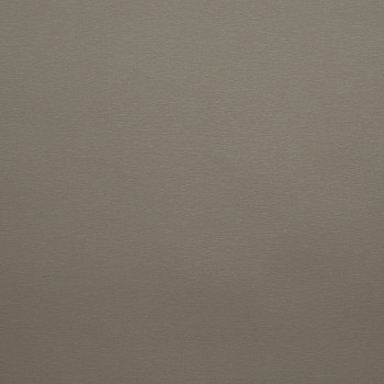 Image de détail du décor Metalmat Champagne (7057 PLUS)