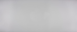 Produit Gris (1365 CR)