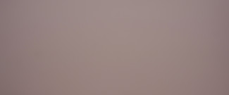 Produit Tourterelle (3182 PLUS)